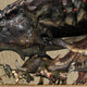 Illustration for article titled Let's Compare Monster Hunter Monster Sizes!